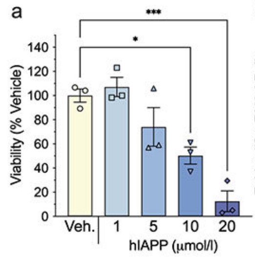 Dose–response curve for hIAPP treatment of MS1 cells.jpg